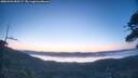 ./images/calvert/fitz-hugh-hecate/20260426/fitz-hugh-hecate20260426_055501M.jpg