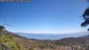 ./images/calvert/fitz-hugh-hecate/20260426/fitz-hugh-hecate20260426_125002M.jpg
