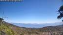 ./images/calvert/fitz-hugh-hecate/20260426/fitz-hugh-hecate20260426_125502M.jpg