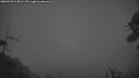 ./images/calvert/fitz-hugh-hecate/20260426/fitz-hugh-hecate20260426_213001M.jpg