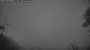 ./images/calvert/fitz-hugh-hecate/20260427/fitz-hugh-hecate20260427_054001M.jpg