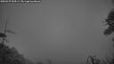 ./images/calvert/fitz-hugh-hecate/20260427/fitz-hugh-hecate20260427_054501M.jpg