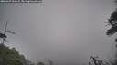 ./images/calvert/fitz-hugh-hecate/20260427/fitz-hugh-hecate20260427_064002M.jpg