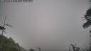 ./images/calvert/fitz-hugh-hecate/20260427/fitz-hugh-hecate20260427_065002M.jpg