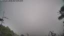 ./images/calvert/fitz-hugh-hecate/20260427/fitz-hugh-hecate20260427_065501M.jpg