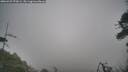 ./images/calvert/fitz-hugh-hecate/20260427/fitz-hugh-hecate20260427_070002M.jpg