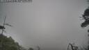 ./images/calvert/fitz-hugh-hecate/20260427/fitz-hugh-hecate20260427_071501M.jpg
