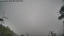 ./images/calvert/fitz-hugh-hecate/20260427/fitz-hugh-hecate20260427_073001M.jpg