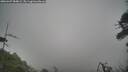 ./images/calvert/fitz-hugh-hecate/20260427/fitz-hugh-hecate20260427_084002M.jpg