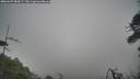 ./images/calvert/fitz-hugh-hecate/20260427/fitz-hugh-hecate20260427_084501M.jpg