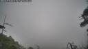./images/calvert/fitz-hugh-hecate/20260427/fitz-hugh-hecate20260427_093001M.jpg