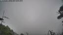 ./images/calvert/fitz-hugh-hecate/20260427/fitz-hugh-hecate20260427_125501M.jpg