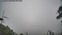 ./images/calvert/fitz-hugh-hecate/20260427/fitz-hugh-hecate20260427_133002M.jpg