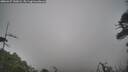 ./images/calvert/fitz-hugh-hecate/20260427/fitz-hugh-hecate20260427_140001M.jpg