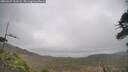 ./images/calvert/fitz-hugh-hecate/20260427/fitz-hugh-hecate20260427_151002M.jpg