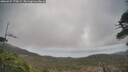 ./images/calvert/fitz-hugh-hecate/20260427/fitz-hugh-hecate20260427_170001M.jpg