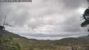 ./images/calvert/fitz-hugh-hecate/20260428/fitz-hugh-hecate20260428_104001M.jpg