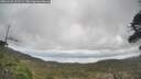 ./images/calvert/fitz-hugh-hecate/20260428/fitz-hugh-hecate20260428_113501M.jpg