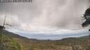 ./images/calvert/fitz-hugh-hecate/20260428/fitz-hugh-hecate20260428_134001M.jpg