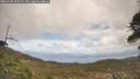 ./images/calvert/fitz-hugh-hecate/20260428/fitz-hugh-hecate20260428_135501M.jpg