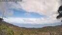./images/calvert/fitz-hugh-hecate/20260428/fitz-hugh-hecate20260428_140001M.jpg