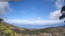 ./images/calvert/fitz-hugh-hecate/20260428/fitz-hugh-hecate20260428_144001M.jpg
