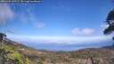 ./images/calvert/fitz-hugh-hecate/20260428/fitz-hugh-hecate20260428_145501M.jpg