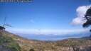 ./images/calvert/fitz-hugh-hecate/20260428/fitz-hugh-hecate20260428_151002M.jpg