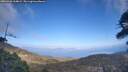 ./images/calvert/fitz-hugh-hecate/20260428/fitz-hugh-hecate20260428_164001M.jpg