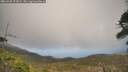 ./images/calvert/fitz-hugh-hecate/20260428/fitz-hugh-hecate20260428_171002M.jpg