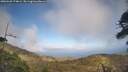 ./images/calvert/fitz-hugh-hecate/20260428/fitz-hugh-hecate20260428_174002M.jpg
