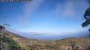 ./images/calvert/fitz-hugh-hecate/20260428/fitz-hugh-hecate20260428_175001M.jpg