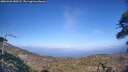 ./images/calvert/fitz-hugh-hecate/20260428/fitz-hugh-hecate20260428_180501M.jpg