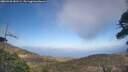 ./images/calvert/fitz-hugh-hecate/20260428/fitz-hugh-hecate20260428_181501M.jpg