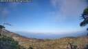./images/calvert/fitz-hugh-hecate/20260428/fitz-hugh-hecate20260428_183501M.jpg