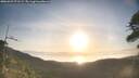 ./images/calvert/fitz-hugh-hecate/20260429/fitz-hugh-hecate20260429_071501M.jpg