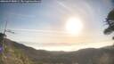 ./images/calvert/fitz-hugh-hecate/20260429/fitz-hugh-hecate20260429_080002M.jpg