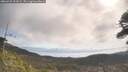 ./images/calvert/fitz-hugh-hecate/20260429/fitz-hugh-hecate20260429_102001M.jpg