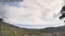 ./images/calvert/fitz-hugh-hecate/20260429/fitz-hugh-hecate20260429_104001M.jpg