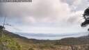 ./images/calvert/fitz-hugh-hecate/20260429/fitz-hugh-hecate20260429_114501M.jpg