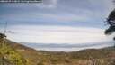 ./images/calvert/fitz-hugh-hecate/20260429/fitz-hugh-hecate20260429_132002M.jpg