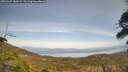 ./images/calvert/fitz-hugh-hecate/20260429/fitz-hugh-hecate20260429_143501M.jpg