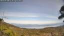 ./images/calvert/fitz-hugh-hecate/20260429/fitz-hugh-hecate20260429_144002M.jpg