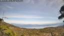 ./images/calvert/fitz-hugh-hecate/20260429/fitz-hugh-hecate20260429_145002M.jpg
