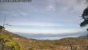 ./images/calvert/fitz-hugh-hecate/20260429/fitz-hugh-hecate20260429_145501M.jpg