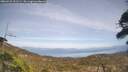 ./images/calvert/fitz-hugh-hecate/20260429/fitz-hugh-hecate20260429_151501M.jpg