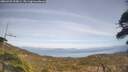 ./images/calvert/fitz-hugh-hecate/20260429/fitz-hugh-hecate20260429_153001M.jpg