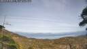 ./images/calvert/fitz-hugh-hecate/20260429/fitz-hugh-hecate20260429_155002M.jpg