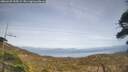 ./images/calvert/fitz-hugh-hecate/20260429/fitz-hugh-hecate20260429_155501M.jpg