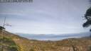 ./images/calvert/fitz-hugh-hecate/20260429/fitz-hugh-hecate20260429_160501M.jpg